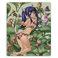    Fairy Tail 310053