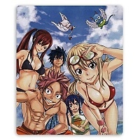    Fairy Tail 310059