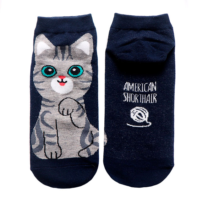 55334 ����� The �at - American Shorthair