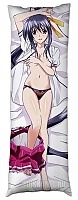   High School DxD Akeno Himejima  
