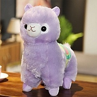   Alpaca Vicugna Pacos 
