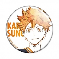  Haikyuu!! Ani-Art - Shouyou Hinata