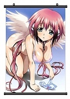   Sora no Otoshimono 313500
