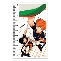  (10) Haikyuu!! - Hinata  Kageyama