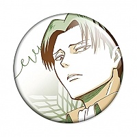  Attack on Titan Color Palette - Levi Ackerman