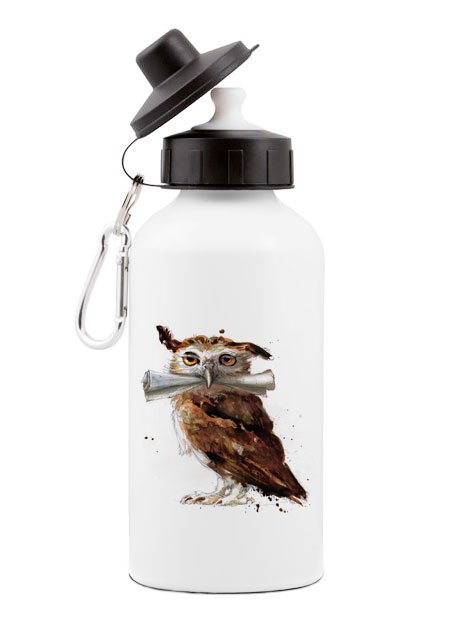 ���������� ������� ���������� ������� ��� ���� Harry Potter Post owl �� ����� ����� ������ / Harry Potter