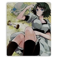    Steins;Gate 319855