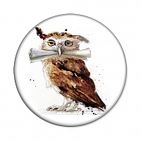  Harry Potter Owl