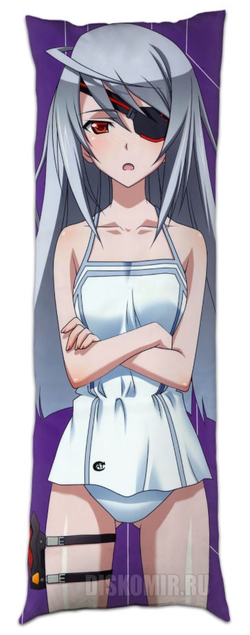 ��������� ���������� �� ������� ��������� Infinite Stratos - ����� �������