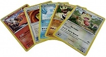     5 ( )