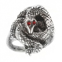 ������ Dark Souls �26