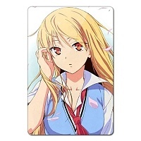    Sakurasou no Pet na Kanojo 350263
