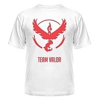  Pokemon Go - Team Valor