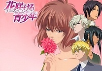   Hanasakeru Seishounen
