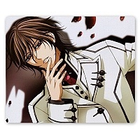    Vampire Knight 60640
