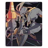       c - Strelizia