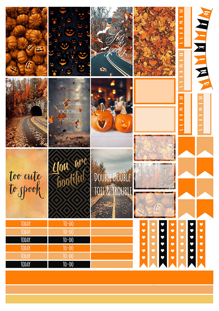 �������� ��� ����������� No.25 ��������