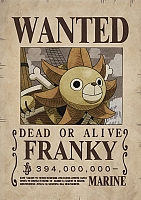   One Piece - Franky Wanted Poster