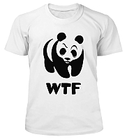  WTF