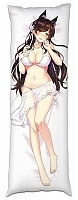      "Azur Lane" Atago  Takao