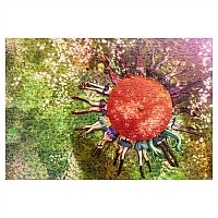  Cross-Over ( A3, 252 ) 67133
