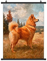     / 