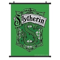   Harry Potter Slytherin