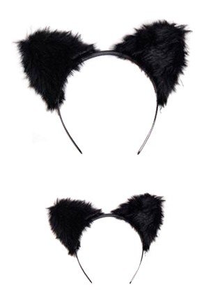 ���������� ������� ���� ����� �� ������ ������ �� ����� � ����� 