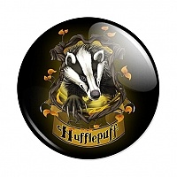  Harry Potter Hufflepuff