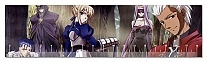  Fate 349511