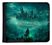      Hogwarts Legacy