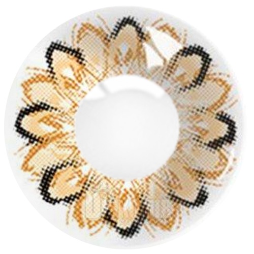 ���������� ������� ���������� ���������� ����� Maxiy Girl Donuts Brown #20 �� ����� � ����� 