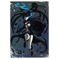      / Black Rock Shooter ( A3, 252 )