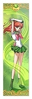    Bishoujo Senshi Sailor Moon