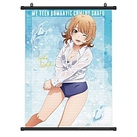   Yahari Ore no Seishun Love-come wa Machigatteiru. Isshiki Iroha