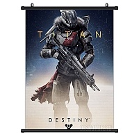   Destiny Titan