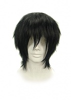 ������� ����� Rozen Maiden - Sakurada Jun / Devil Kings - Mori Ranmaru / Hitman Reborn - Hibari Kyoya / Gintama - Hijikata Toushirou / The Prince of Tennis - Akaya Kirihara Zaizen Hikaru Mizuki Hajime / Death Note - Lawliet / D.Gray-man - Black Tyki Devit