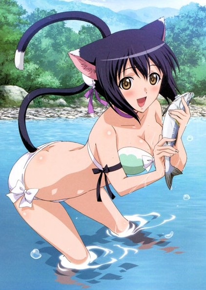 ���������� ������� ������ �������� Shining Hearts / ������� ������ - ���-��� �� ����� � ����� ������� ������ / Shining Hearts / ���������� ������