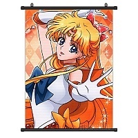   Sailor Venus Guardian of Love