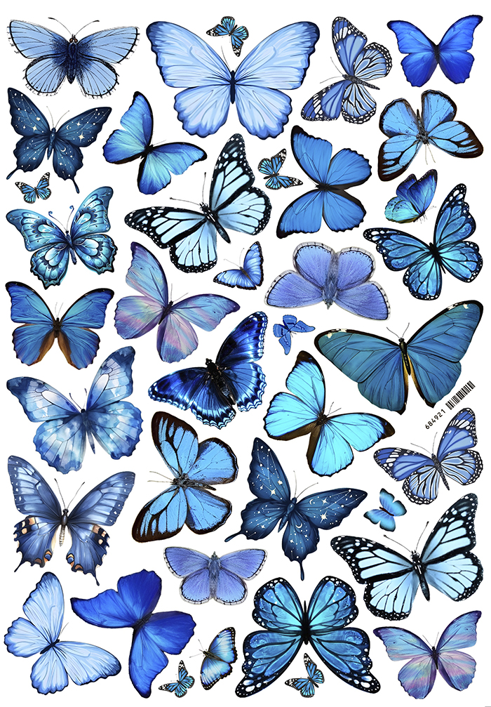 ������� ��������� ������� �1