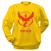  Pokemon Go - Team Valor