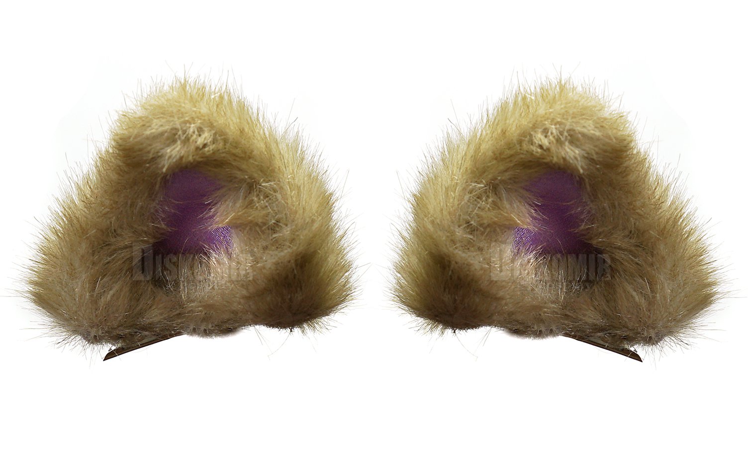 ���������� ������� ���� ������� ������ ������� � ������� (������� ���) �� ����� � ����� 