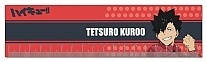  (18) Haikyu!! To The Top - Kuroo Tetsuro