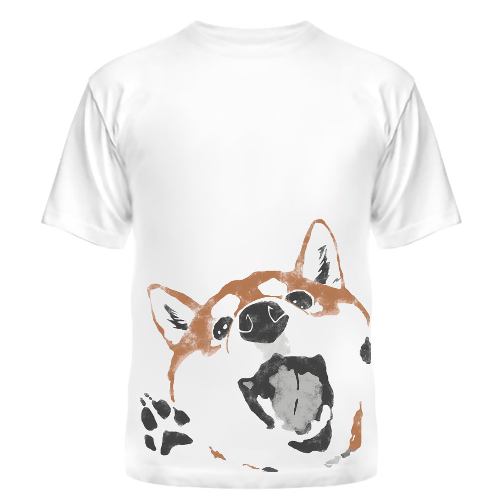 ���������� ������� �������� Shiba Inu �� ����� � ����� ����-��� / Shiba Inu