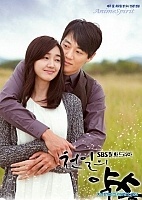 A Thousand Days' Promise ( ~      ~)