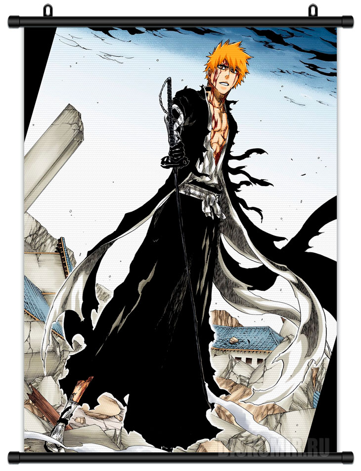 ������� �������� ���� - Ichigo