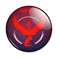  Pokemon GO - Team Valor