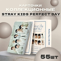   Stray Kids  Perfect Day 55 