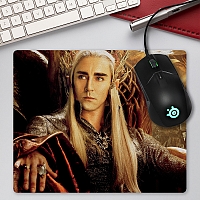    The Hobbit 310008