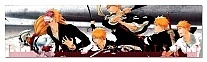  Bleach 349465